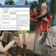 Illustration for article titled iBlack Desert /iLays Out Horrible Pre-Launch Problems In Convenient Shitstorm Matrix
